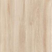 SUN POWER 60X60 66172